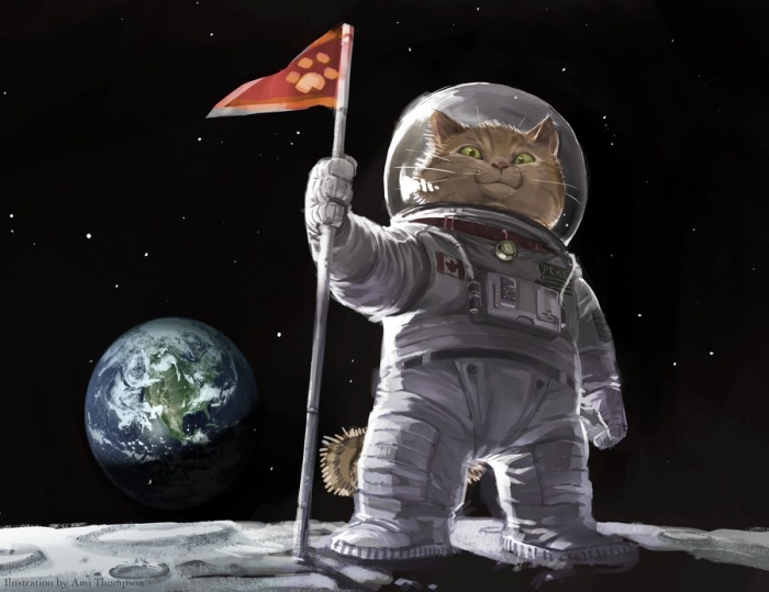 Иран запустит в космос персидскую кошку