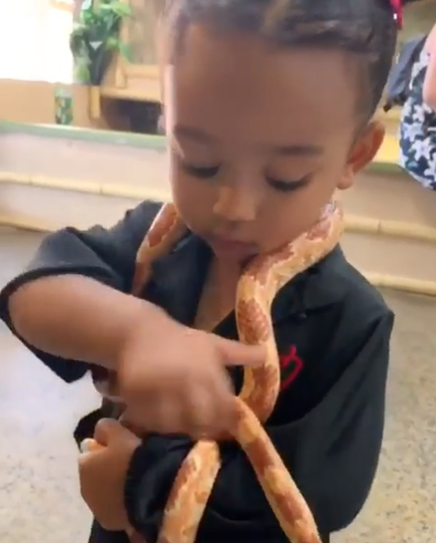 Ким Кардашьян разрешила годовалой дочери играть со змеей, чем привела в ужас полмира. ФОТО
