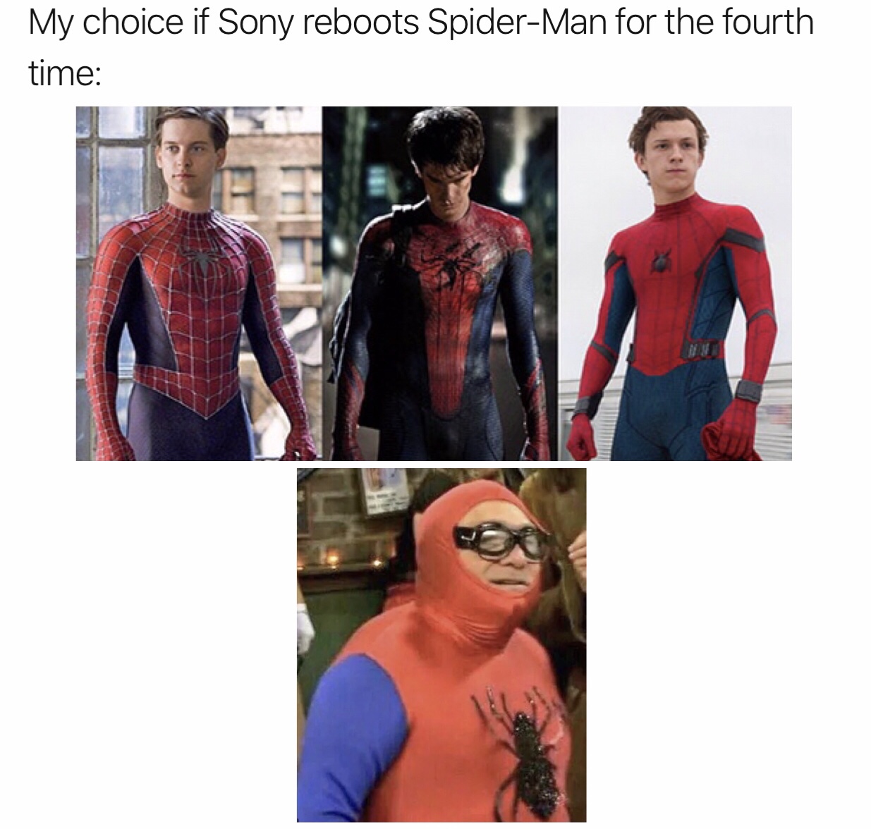 Spider memes