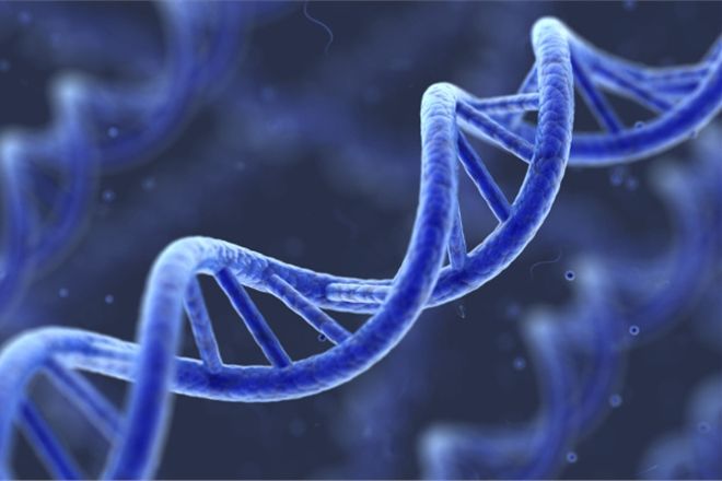 Ученые нашли ген, защищающий от ВИЧ