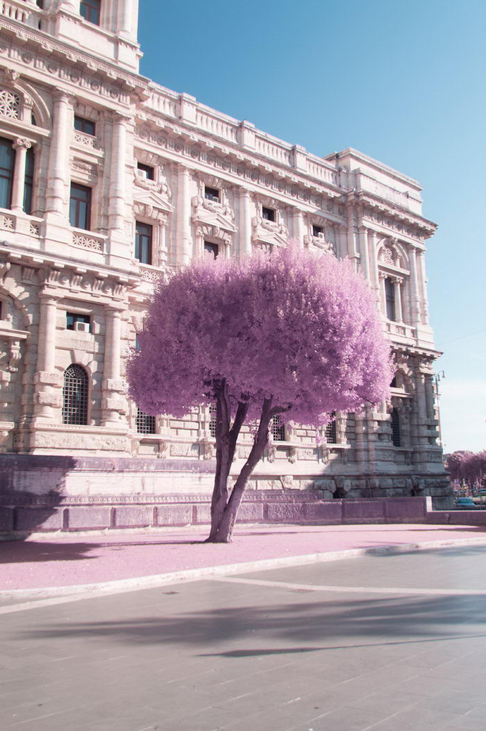 Инфракрасный Рим в фотографиях Milan Racmolnar