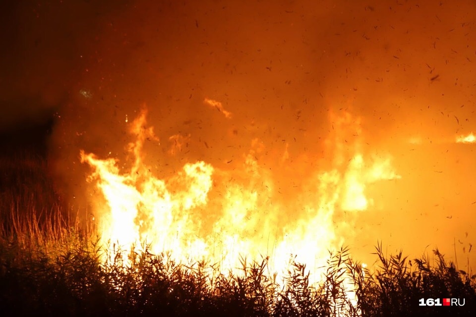 В России у границы с Украиной пожар охватил огромную территорию. ВИДЕО