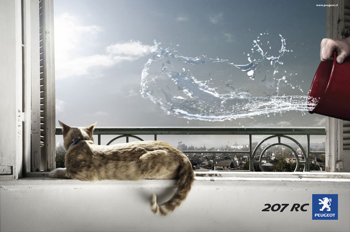 Самые веселые примеры «кошачьей» рекламы. ФОТО