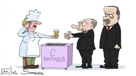 Ёлкин нарисовал карикатуру на «личную мороженщицу» Путина. Соцсети в восторге