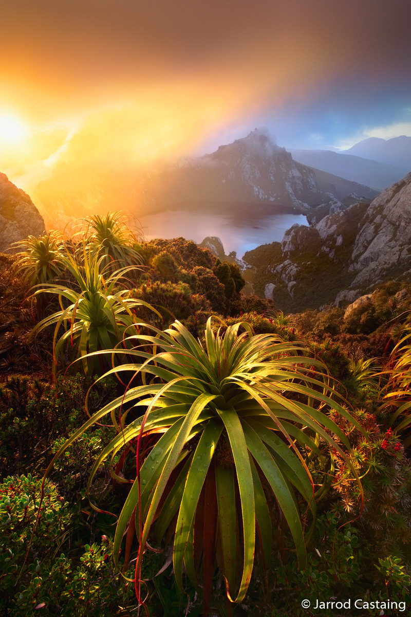 Победители Australian Geographic Nature Photographer of the Year 2019