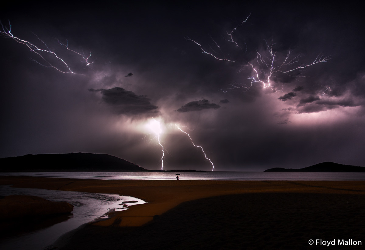 Победители Australian Geographic Nature Photographer of the Year 2019