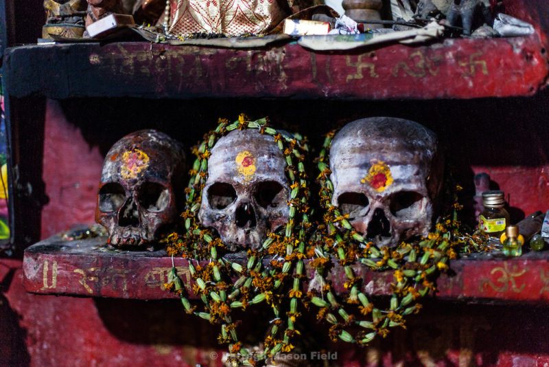 Удивительные кадры индийской секты поедателей трупов. Фото