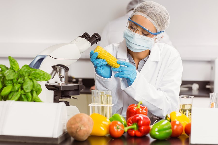 Эксперты выяснили, вредно ли есть ГМО-продукты