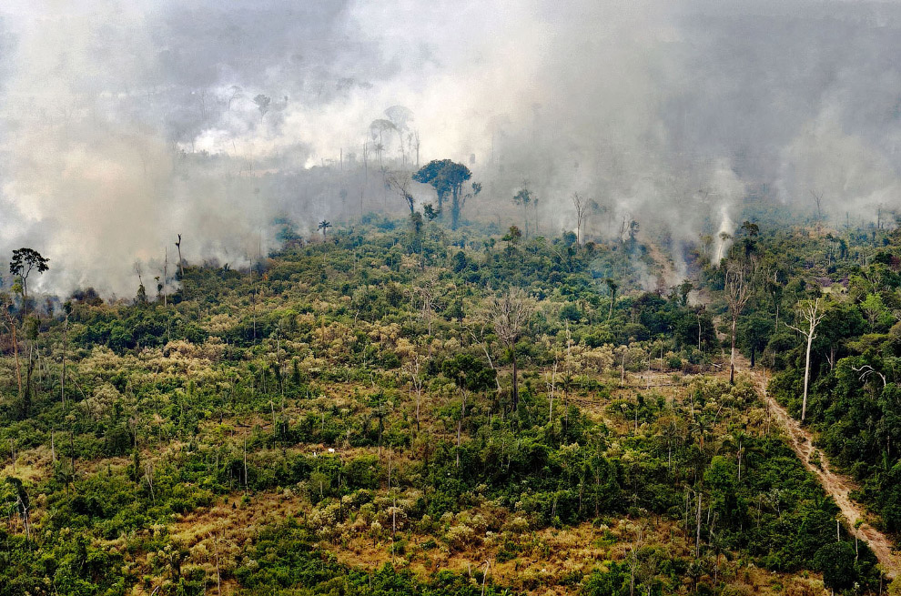 Горящая область в тропических лесах Амазонки