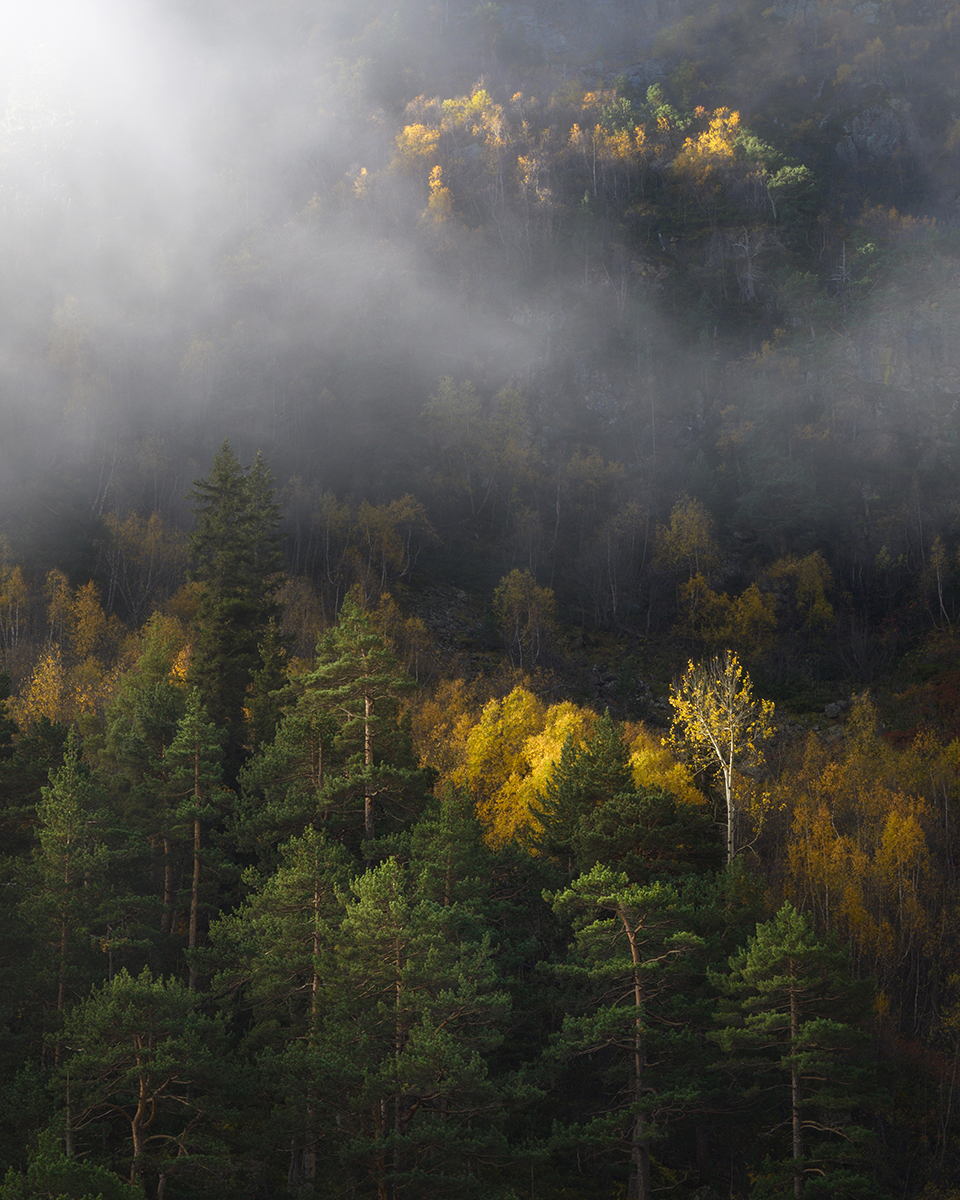 Яркие пейзажи от Николая Степаненко. ФОТО