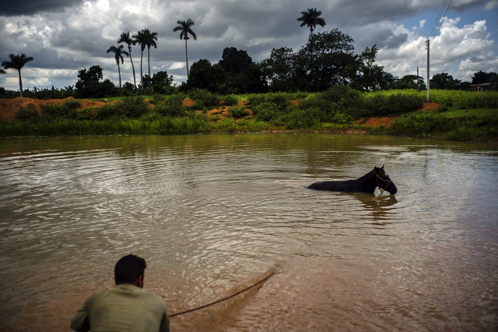 Кубинцы спасаются от жары с помощью мобильного бассейна