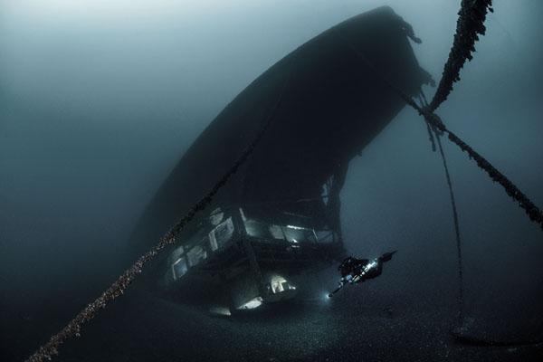 Лучшие работы международного конкурса подводных снимков. Фото
