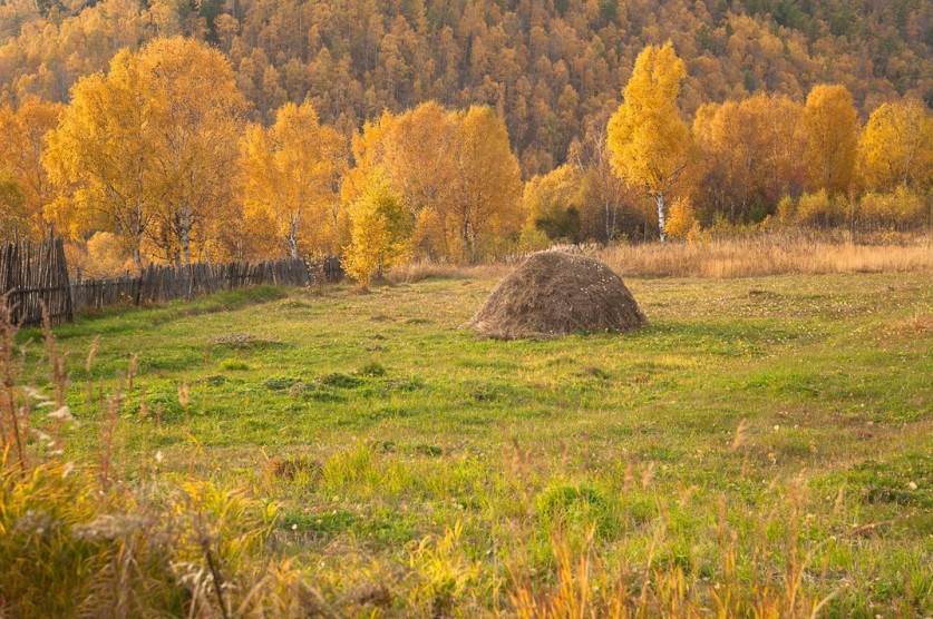 Ушедшее лето в ностальгических пейзажах. Фото