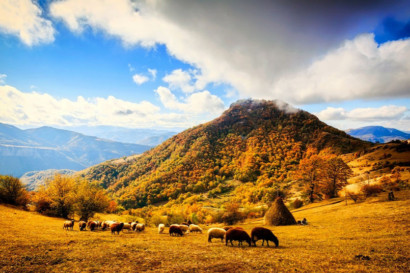 Ушедшее лето в ностальгических пейзажах. ФОТО