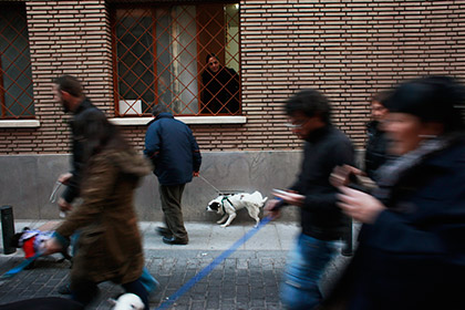 Мадрид придумал штрафы для любителей собак и попрошаек