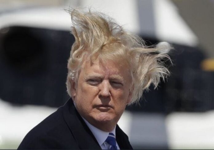 Трамп придумал, как доказать, что его волосы настоящие. ФОТО