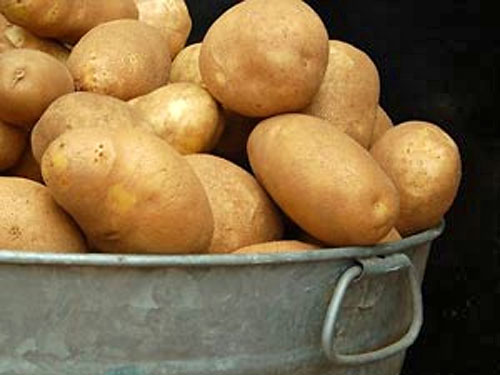 Правительство обещает украинцам много дешёвой картошки