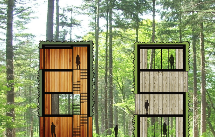 В Голландии представили образцы уникальных эко-домов с «живыми» фасадами