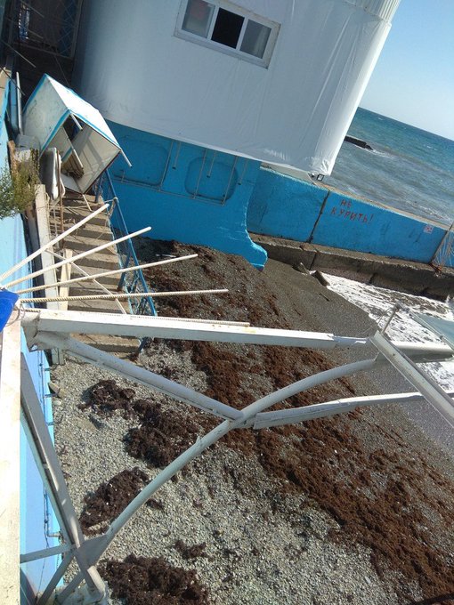Баррикады на пляжах и настоящий «аншлаг»: появились свежие фото сезона в Крыму. ФОТО