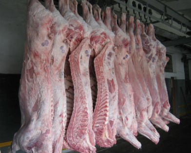 Производство мяса в Украине выросло почти на 10%