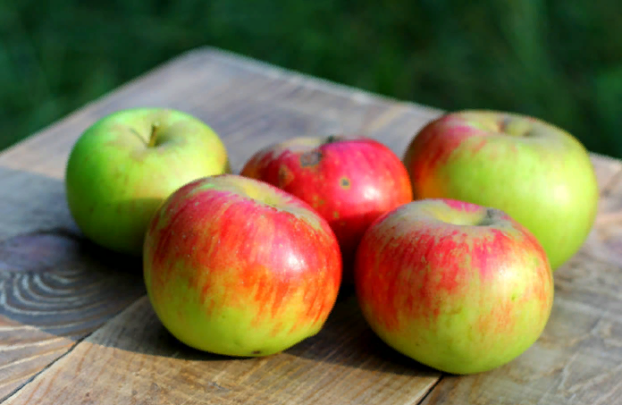 Названы 15 преимуществ употребления яблок