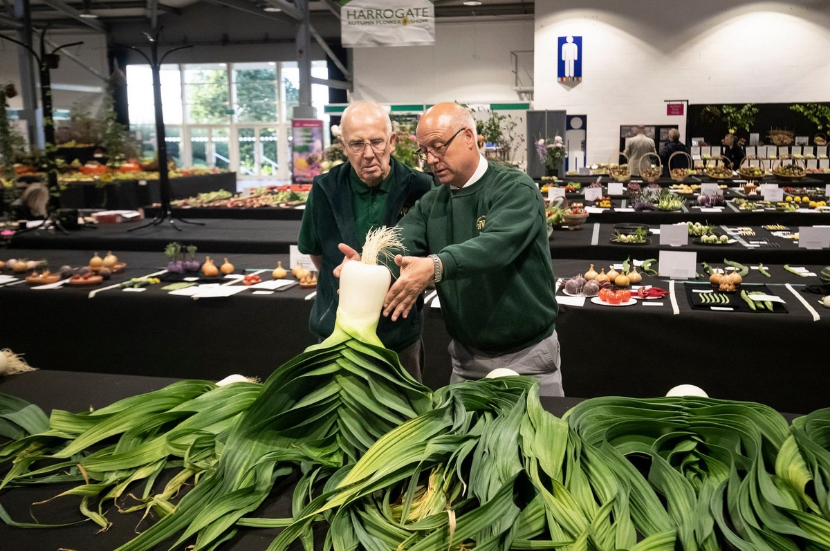 Фестиваль урожая Harrogate Flower Show в Великобритании