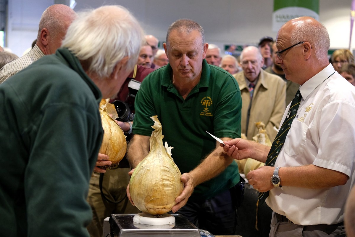 Фестиваль урожая Harrogate Flower Show в Великобритании