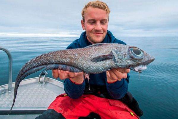 «Динозавр-инопланетянин»: норвежский подросток поймал удивительную рыбу. ФОТО