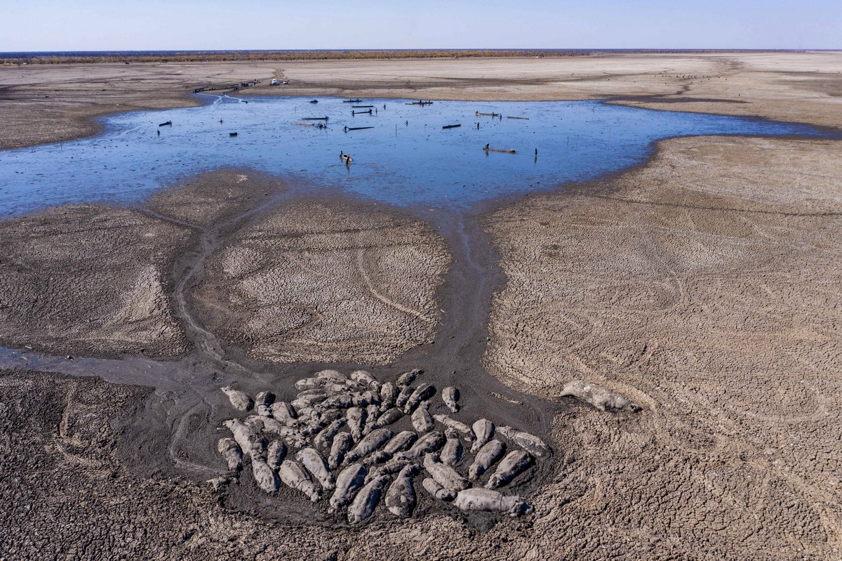 фото высыхающих морей