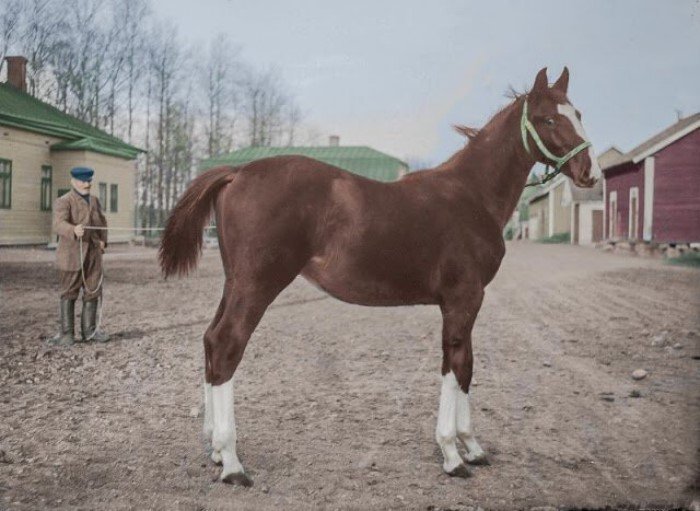 Финляндия в начале 20 века на раскрашенных фотоснимках