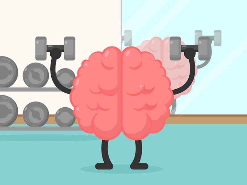 Фитнес для мозга: почему спорт лучше кроссвордов?