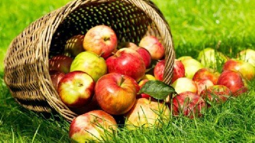 Диетологи объяснили, чем полезны яблоки