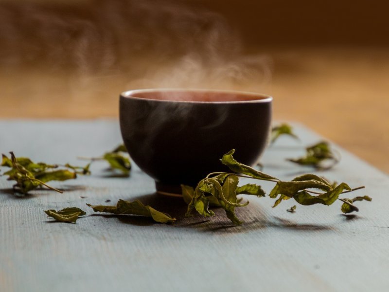 Зеленый чай против суперинфекций: как напиток может помочь антибиотикам?