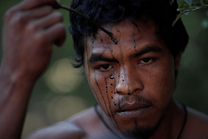 Стражи джунглей Амазонки против незаконных рубок леса