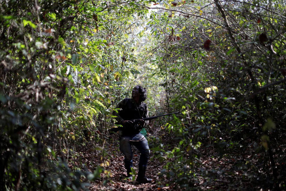 Стражи джунглей Амазонки против незаконных рубок леса