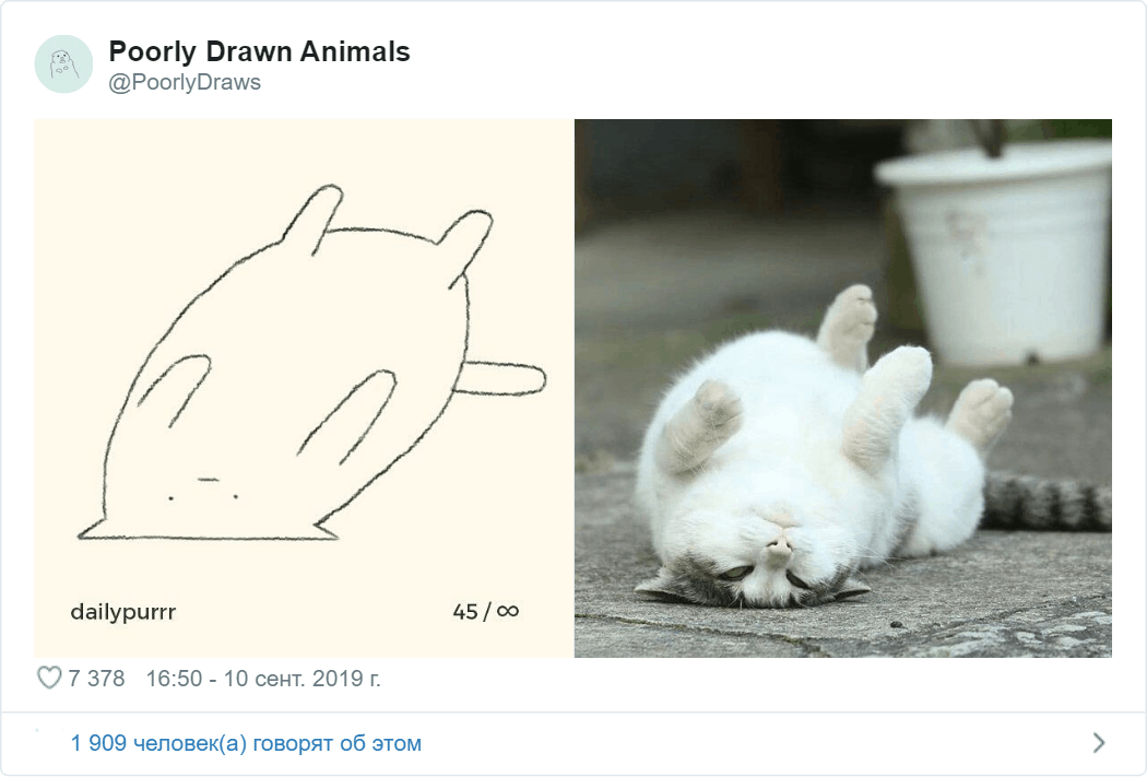 Флешмоб: пользователи Сети делятся смешными карикатурами на животных