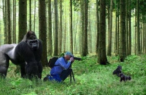 Свежая порция фоток, сделанных в нужный момент. ФОТО