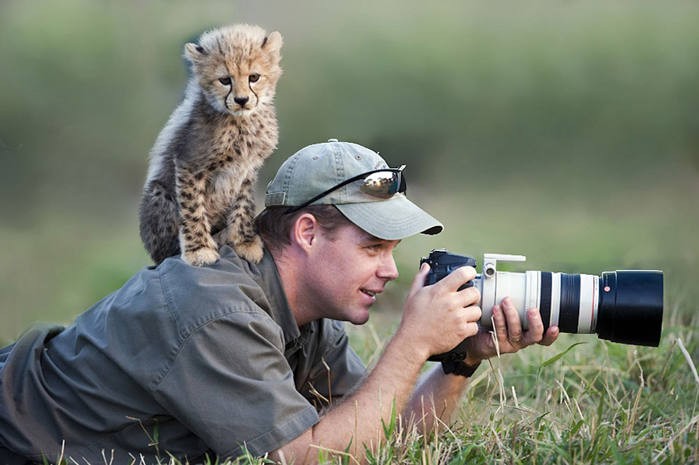 Работа фотографа в тесном контакте с животным миром