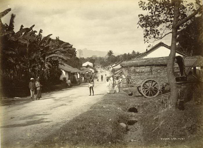 Редкие фотографии Шри-Ланки 1880-х годов