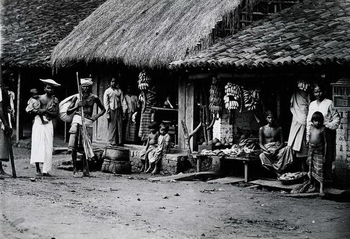 Редкие фотографии Шри-Ланки 1880-х годов