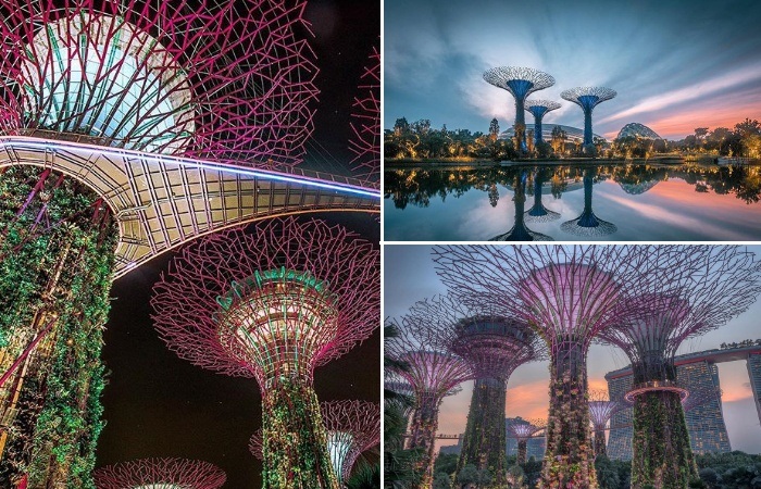 Тропический парк «Сады у залива» в Сингапуре с его футуристическими пейзажами (Gardens by the Bay). | Фото: instagram.com/ Lee Mumford.