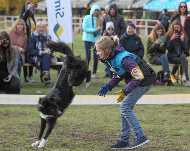 В Киеве устроили выставку беспородных собак. ФОТО