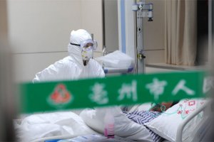 Китайские медики разработали вакцину от птичьего гриппа 