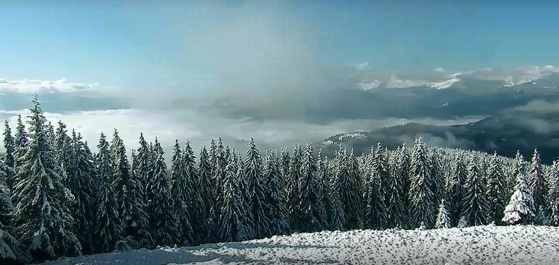 Красота: появились свежие фото осенних Карпат в снегу. ФОТО