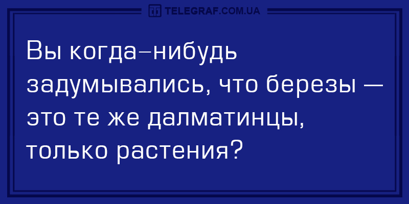 Юмористическая подборка анекдотов для любителей посмеяться от души. ФОТО