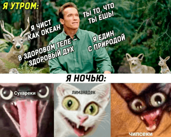 Популярные мемы фото