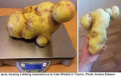 В Швеции нашли картофелину, похожую на Кейт Уинслет в Титанике