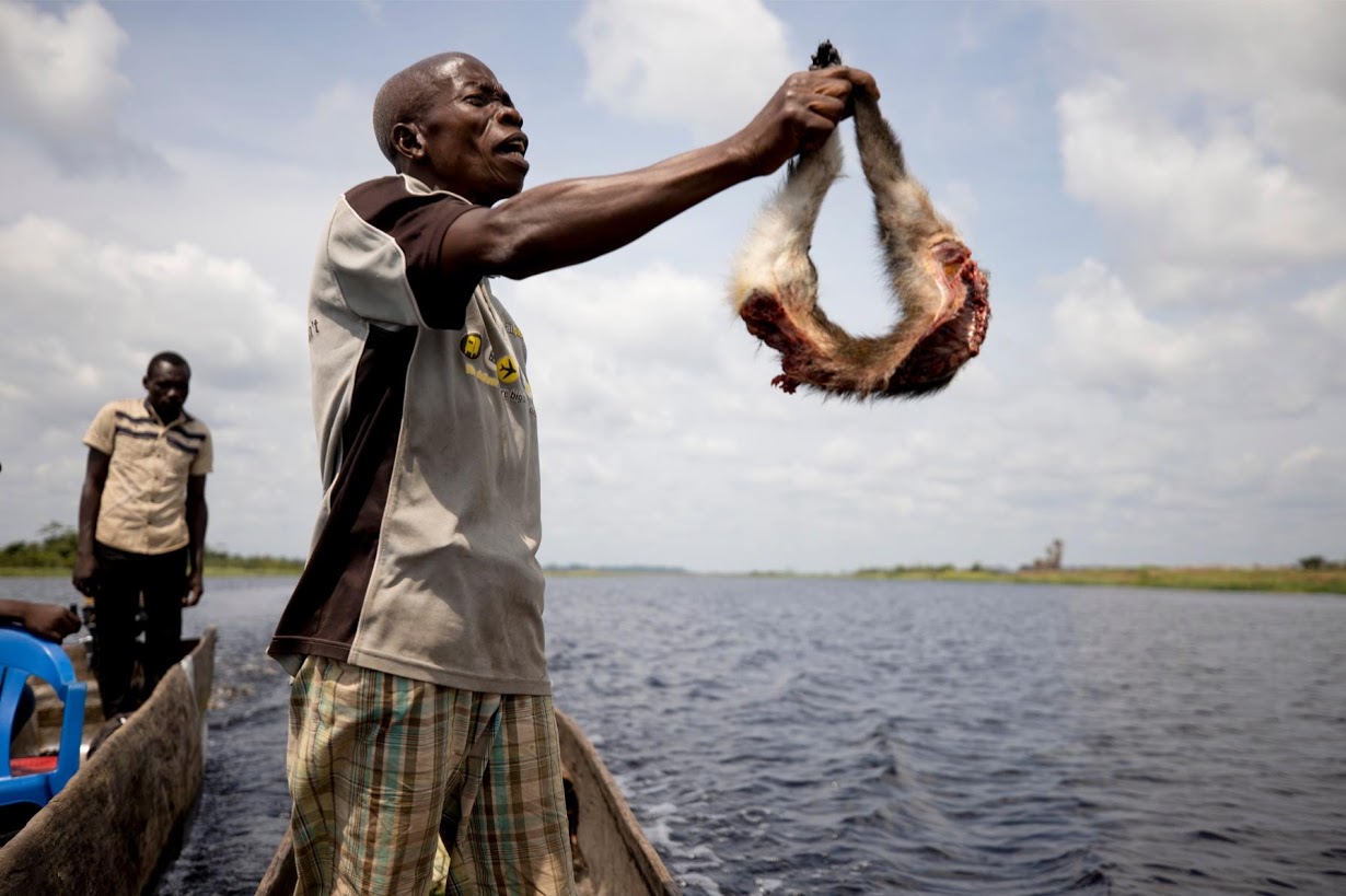 животный мир реки конго