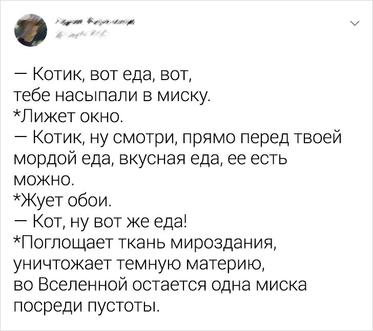 19 ситуаций, которые могли произойти только с владельцами котов