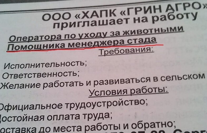 Абсурдные и смешные вакансии от работодателей, чьей наглости нет предела